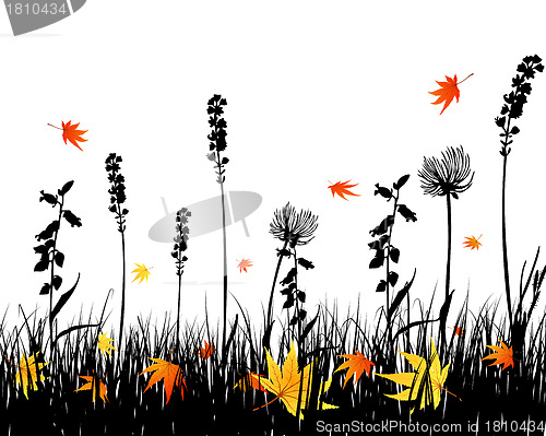 Image of autumn meadow silhouettes