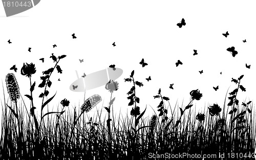 Image of meadow silhouettes