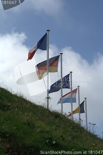 Image of Some EC Flags