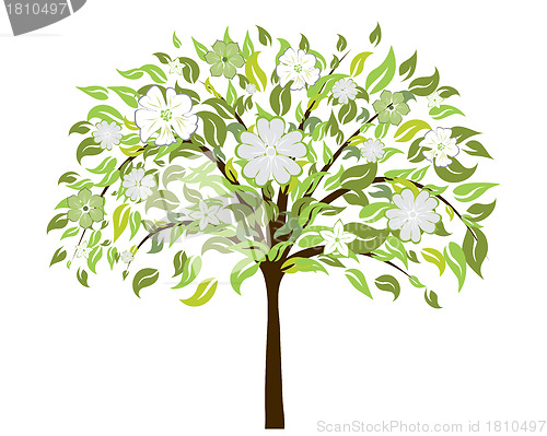 Image of blossom tree