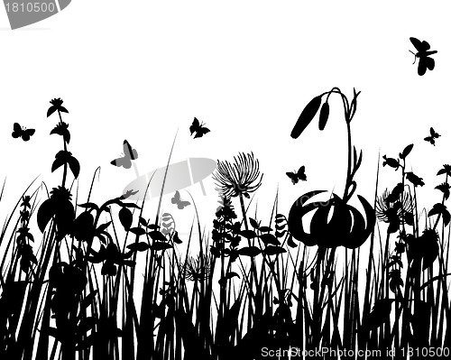Image of meadow silhouettes
