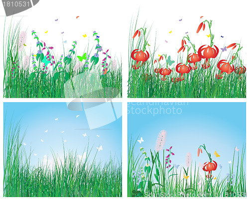 Image of color set of grass backgrounds