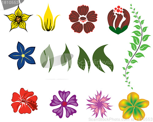 Image of flowers set
