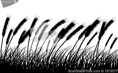 Image of meadow silhouettes