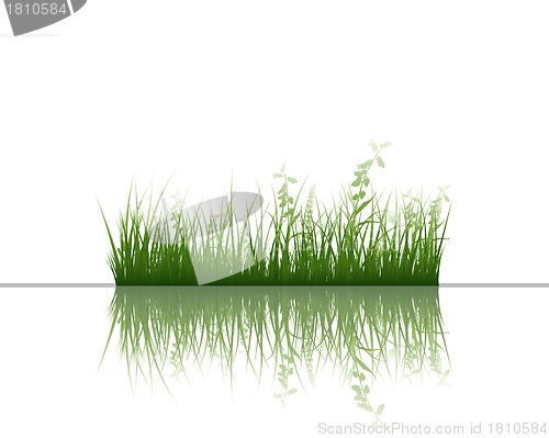 Image of grass on water