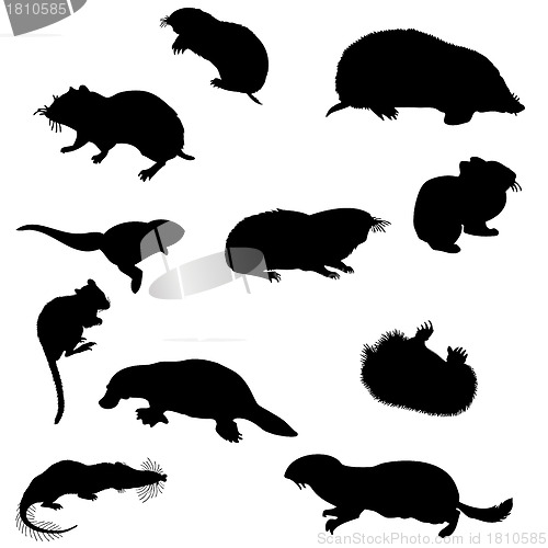 Image of beavers silhouettes set