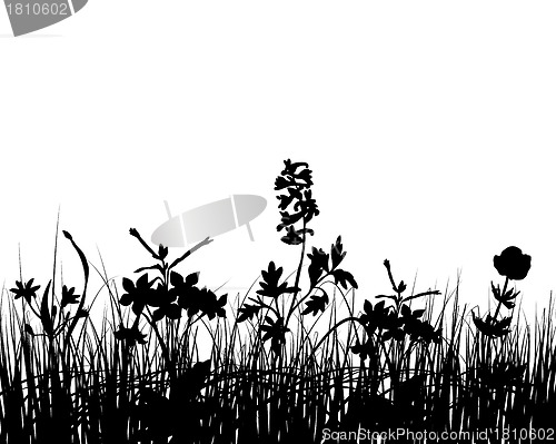 Image of meadow silhouettes