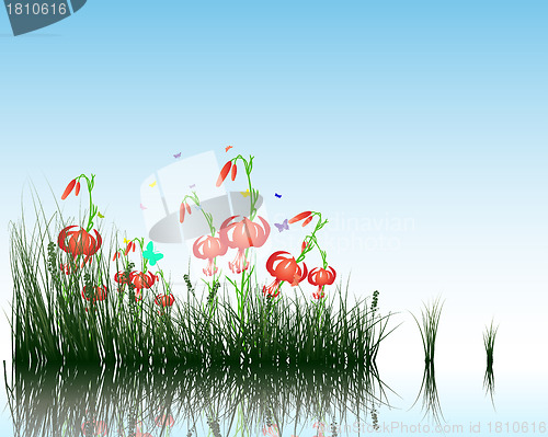 Image of grass on water