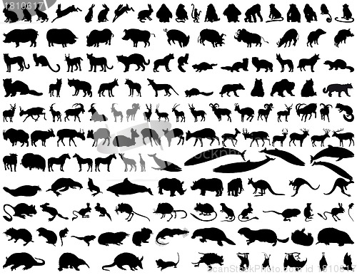 Image of Vector animals