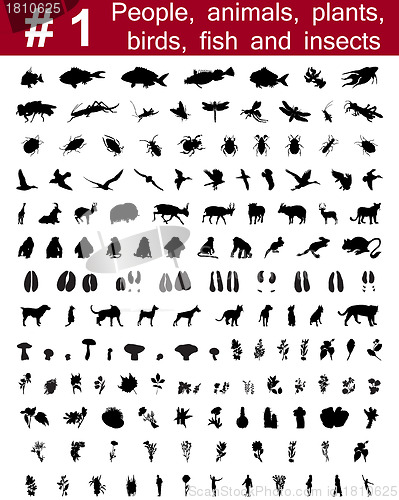 Image of vector silhouettes set