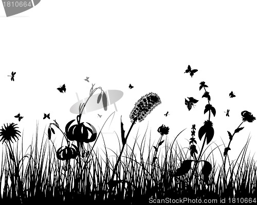 Image of meadow silhouettes