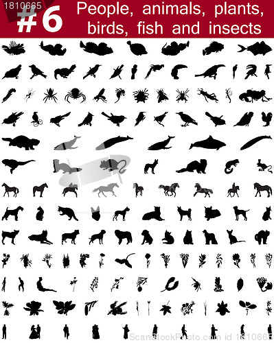 Image of vector silhouettes set