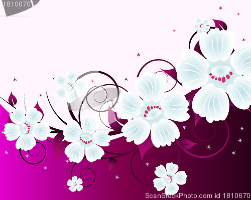 Image of floral background