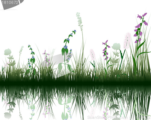 Image of grass on water