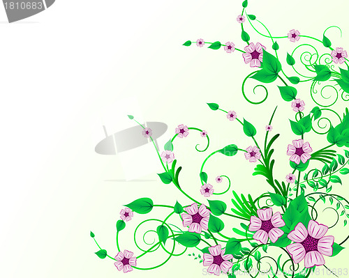 Image of floral background