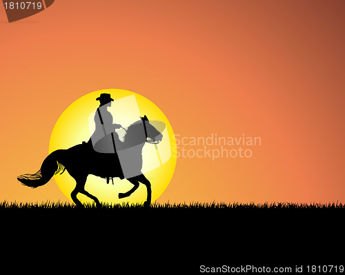 Image of horse on sunset background