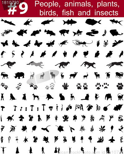 Image of vector silhouettes set