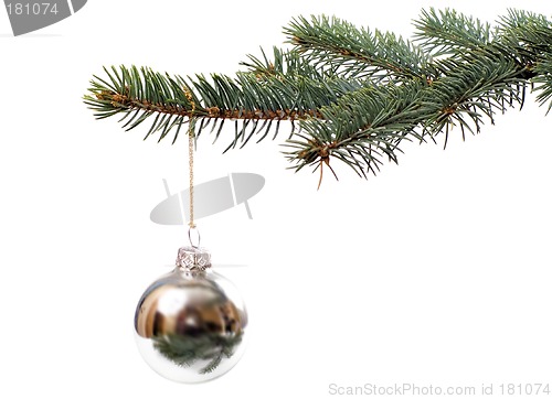 Image of Christmas tree