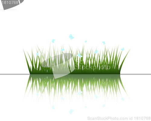 Image of grass on water