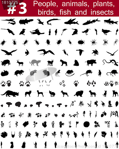 Image of vector silhouettes set