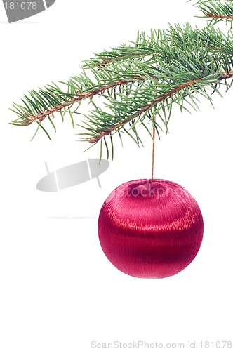 Image of Christmas tree