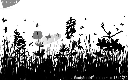 Image of meadow silhouettes