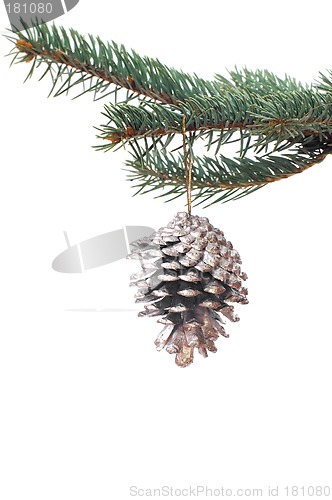 Image of Christmas tree