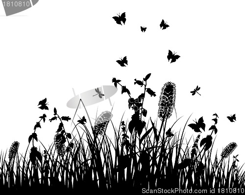 Image of meadow silhouettes