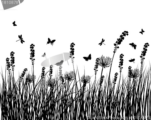 Image of meadow silhouettes