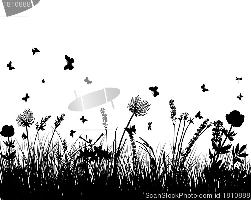 Image of meadow silhouettes