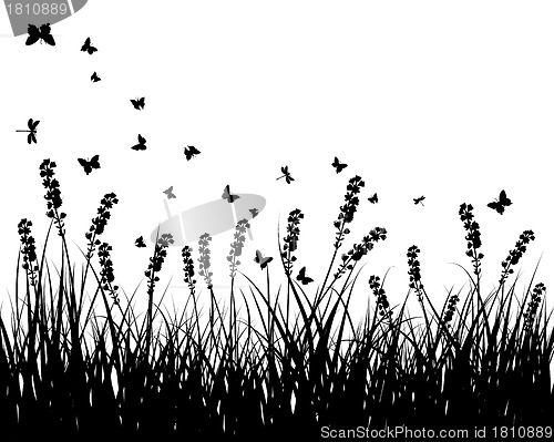 Image of meadow silhouettes