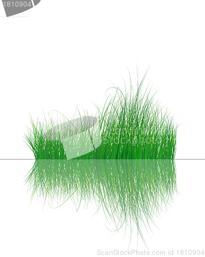 Image of grass on water