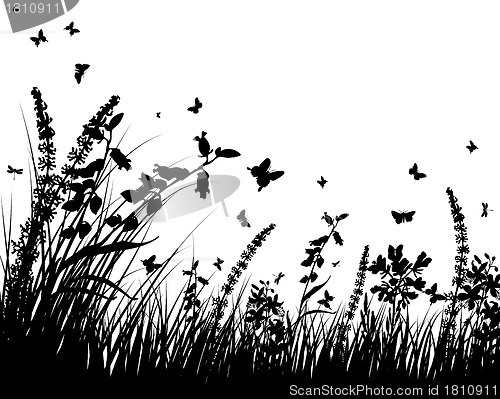 Image of meadow silhouettes