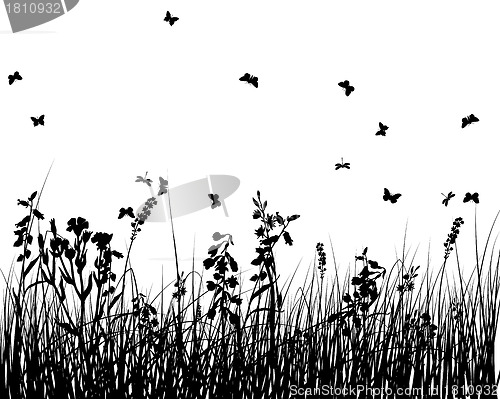 Image of meadow silhouettes