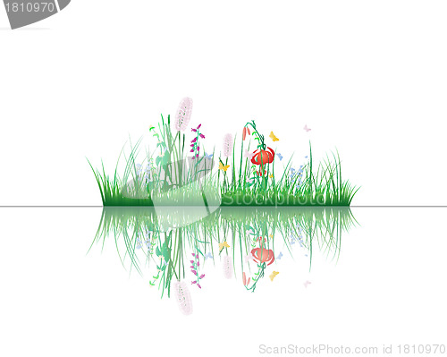 Image of grass on water