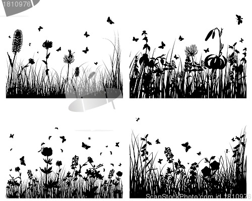 Image of meadow silhouettes