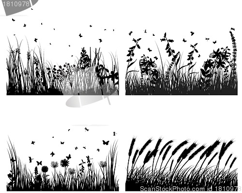 Image of meadow silhouettes