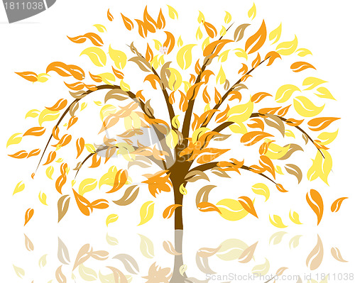 Image of autumn tree