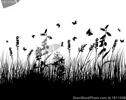 Image of meadow silhouettes