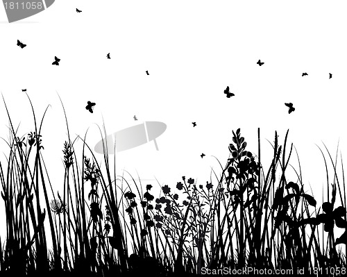 Image of meadow silhouettes