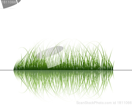 Image of grass on water