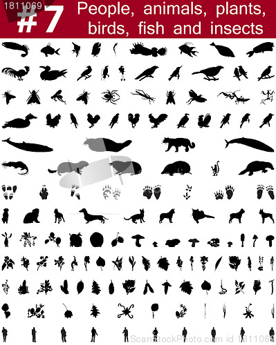 Image of vector silhouettes set