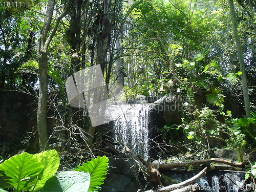 Image of Waterfall