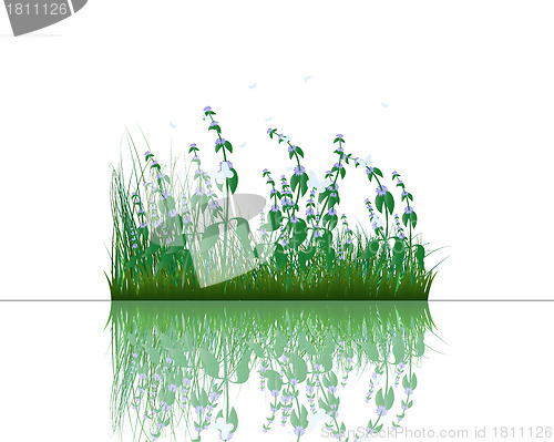 Image of grass on water