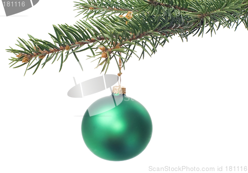 Image of Christmas tree