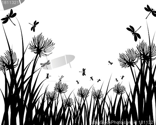 Image of meadow silhouettes