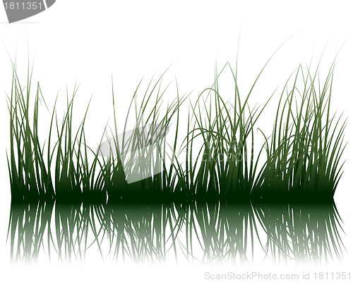 Image of grass on water