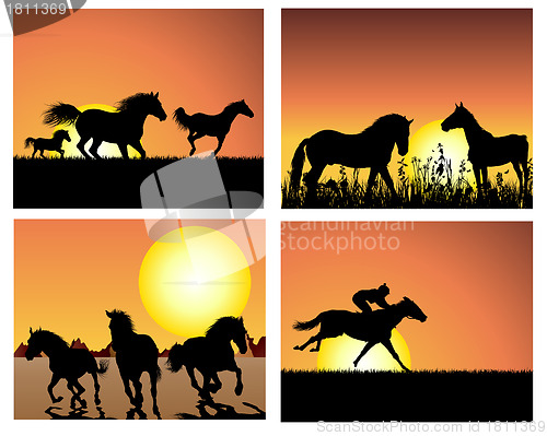 Image of horse on sunset backgrounds set
