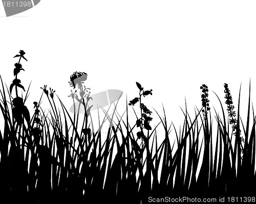 Image of meadow silhouettes