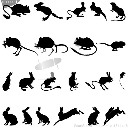 Image of rodents silhouettes